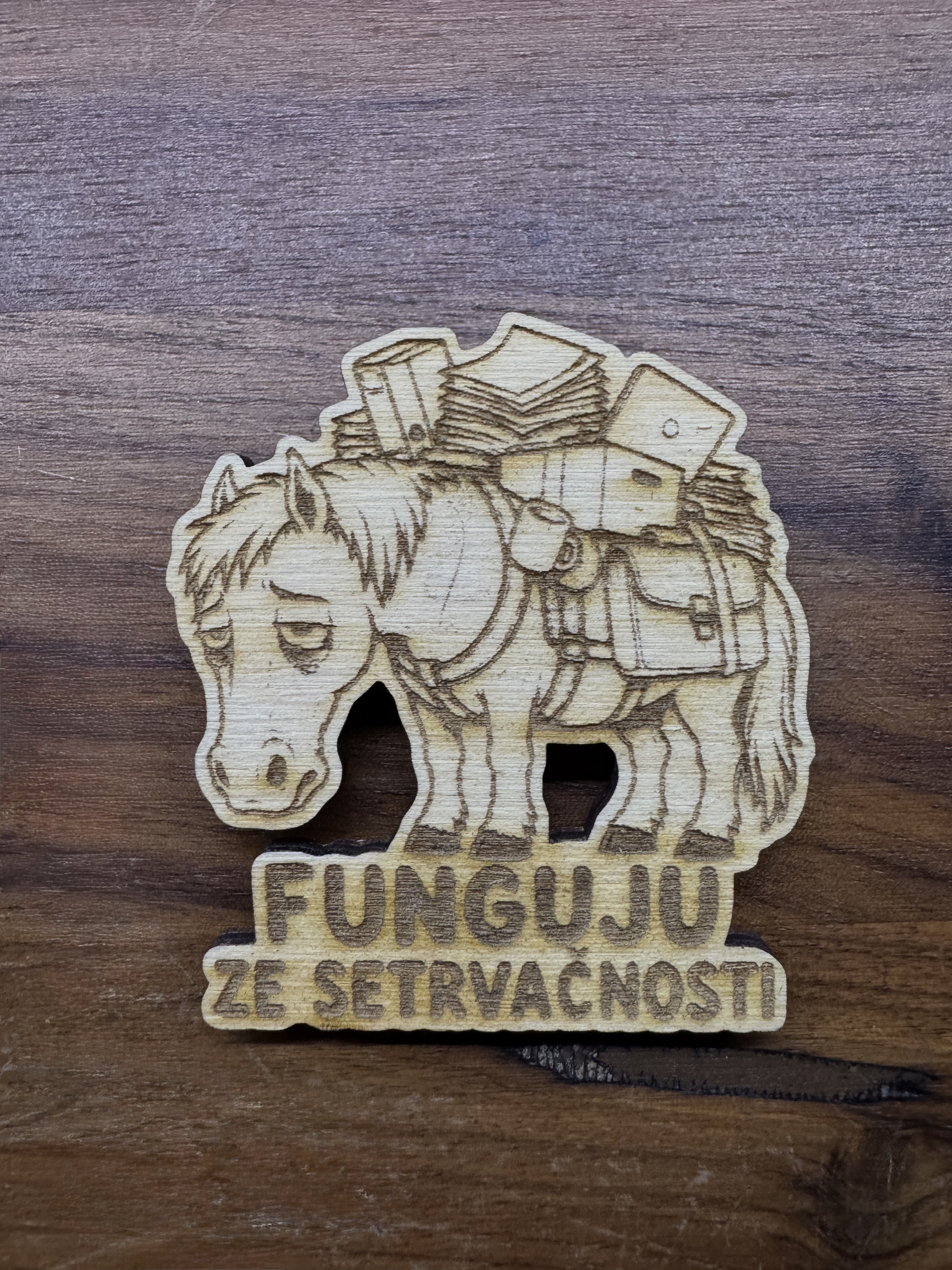 Motivační magnetky-Koník