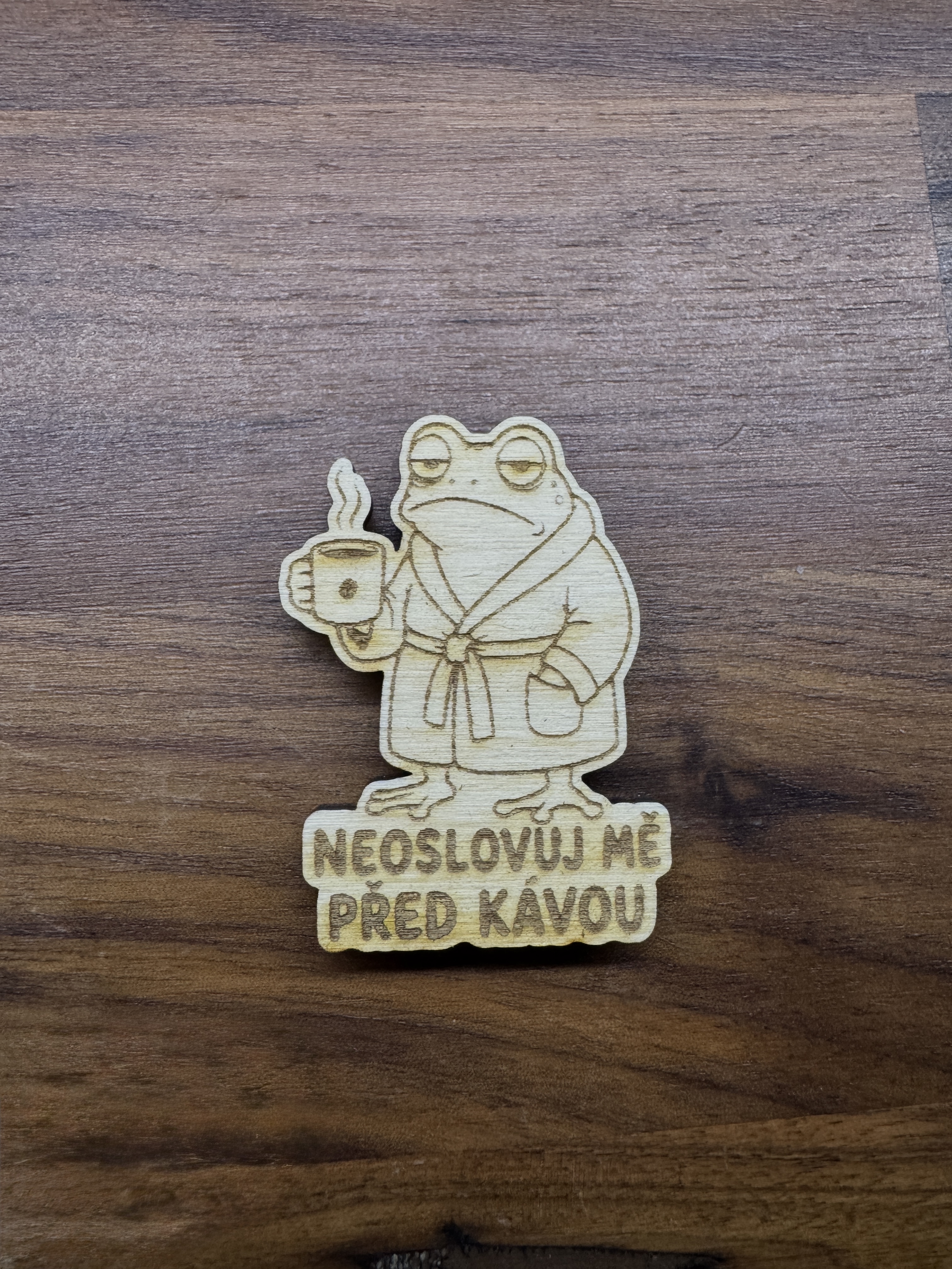 Motivační magnetky-Žabka